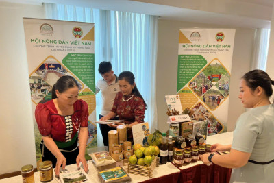 Khách Hàng Là Trung Tâm - Hợp Tác Bền Vững