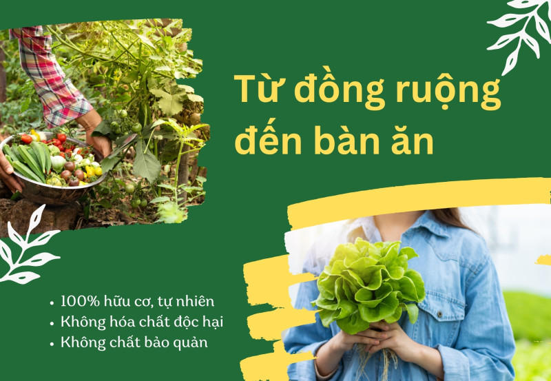 Hậu trường sản xuất – “Từ đồng ruộng tới bàn ăn”
